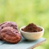 Reishi