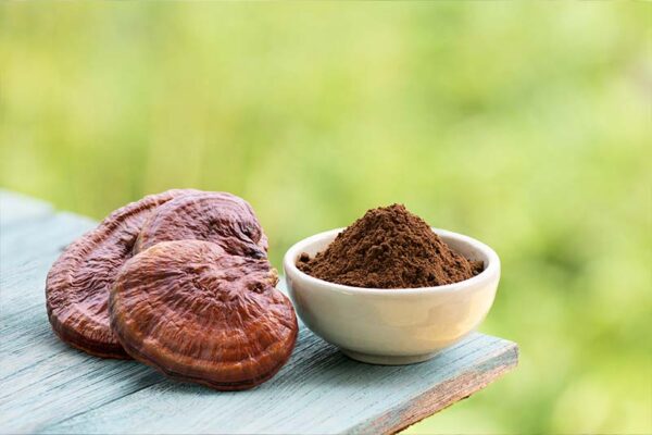 Reishi
