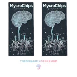 Mycrochips