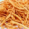 Cordyceps